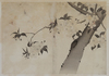 A Japanese shunga book