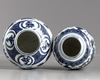 Two Chinese blue and white ginger jars