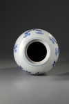 A Chinese blue and white 'flower and butterfly' vase