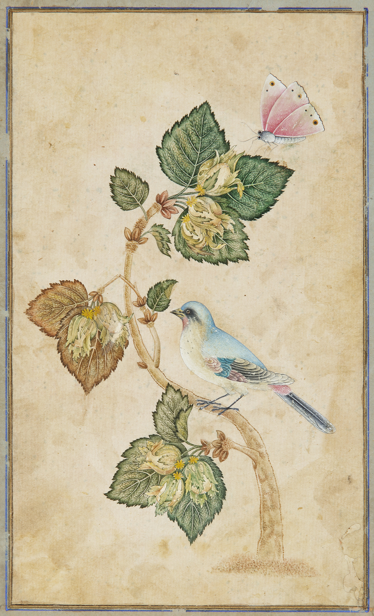A MUGHAL STYLE MINIATURE OF A BIRD, 19TH CENTURY