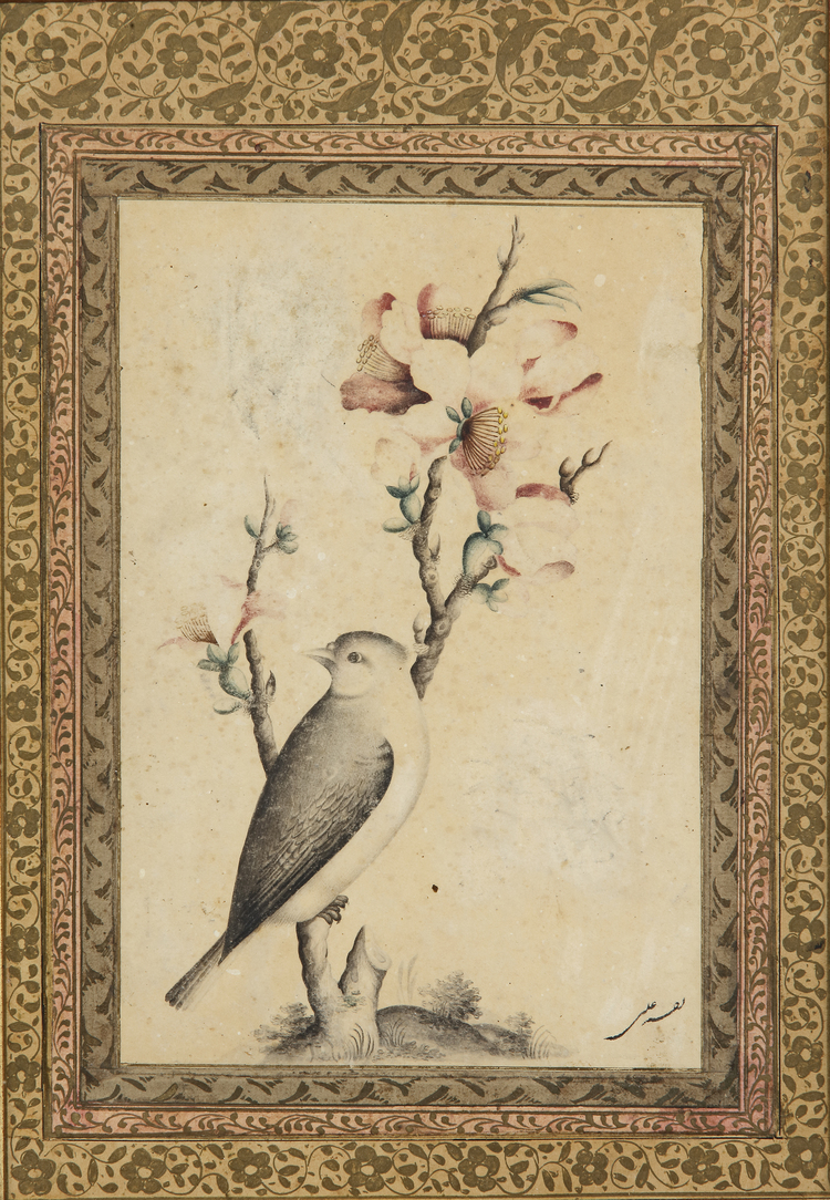 A MUGHAL MINIATURE OF A BIRD, 19TH CENTURY