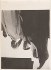 FIVE IMPORTANT PHOTOGRAPHS OF THE HISTORICAL VISIT OF KING ABDULLAH BIN AL-HUSSEIN TO SAUDI ARABIA MEETING KING ABDUL AL-AZIZ AL SAUD, 1948