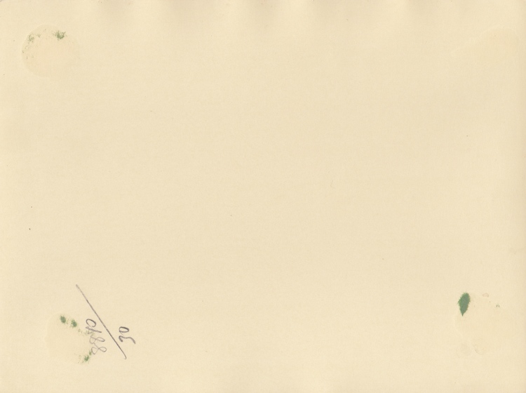 A SET OF CARDBOARD PHOTOS BELONGING TO SHEIKH SALEM BIN MAHFOUZ