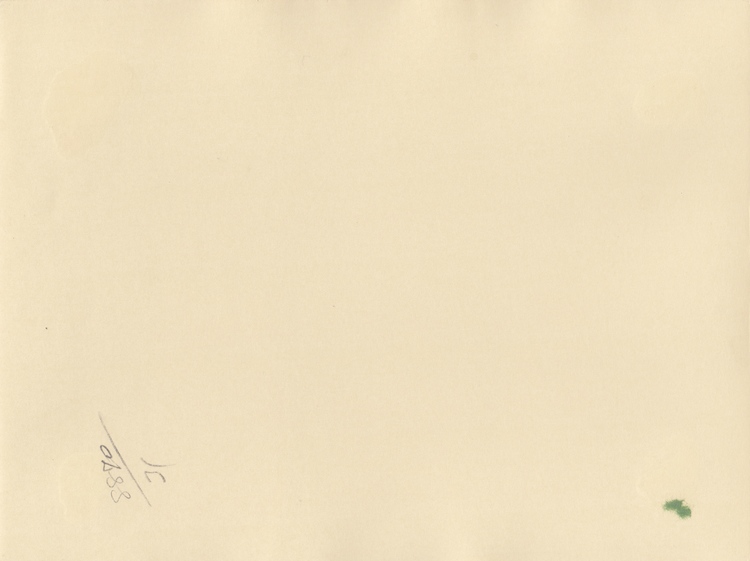 A SET OF CARDBOARD PHOTOS BELONGING TO SHEIKH SALEM BIN MAHFOUZ