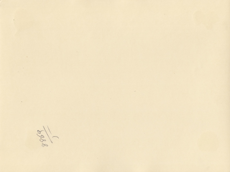 A SET OF CARDBOARD PHOTOS BELONGING TO SHEIKH SALEM BIN MAHFOUZ