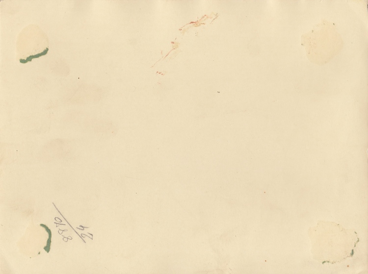 A SET OF CARDBOARD PHOTOS BELONGING TO SHEIKH SALEM BIN MAHFOUZ