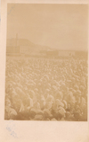 A RARE ARCHIVE ABOUT YEMEN, BELONGED TO AHMED IZZET PASHA