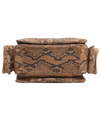 Bottega Veneta Python Cocker Hobo Bag - Limited Edition