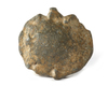 AN ISLAMIC LEAD SEAL, EARLY ABBASID, DATED 134 AH/752 AD