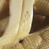 Ivory Netsuke of a Quail on Millet