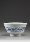 A large Chinese blue and white bowl