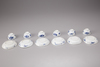 Six blue and white cups and saucers
