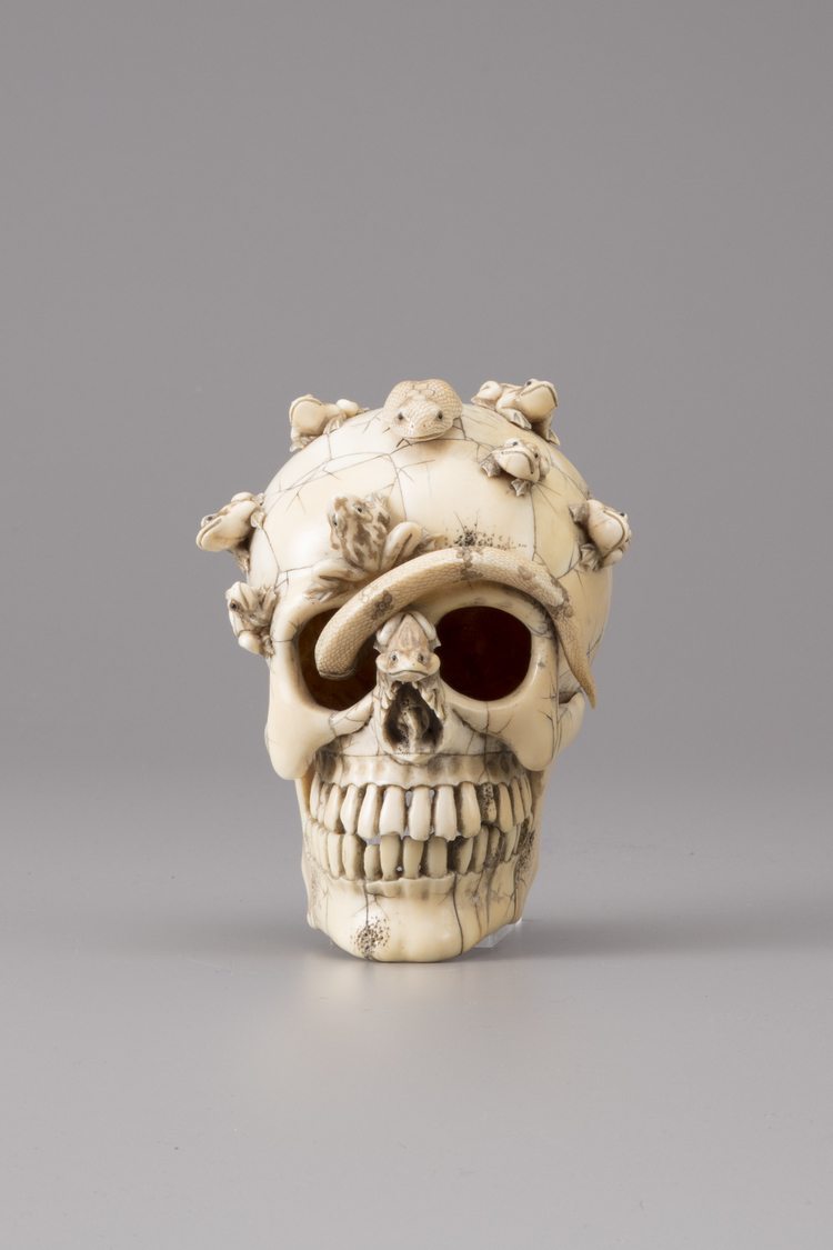 An Ivory memento mori skull