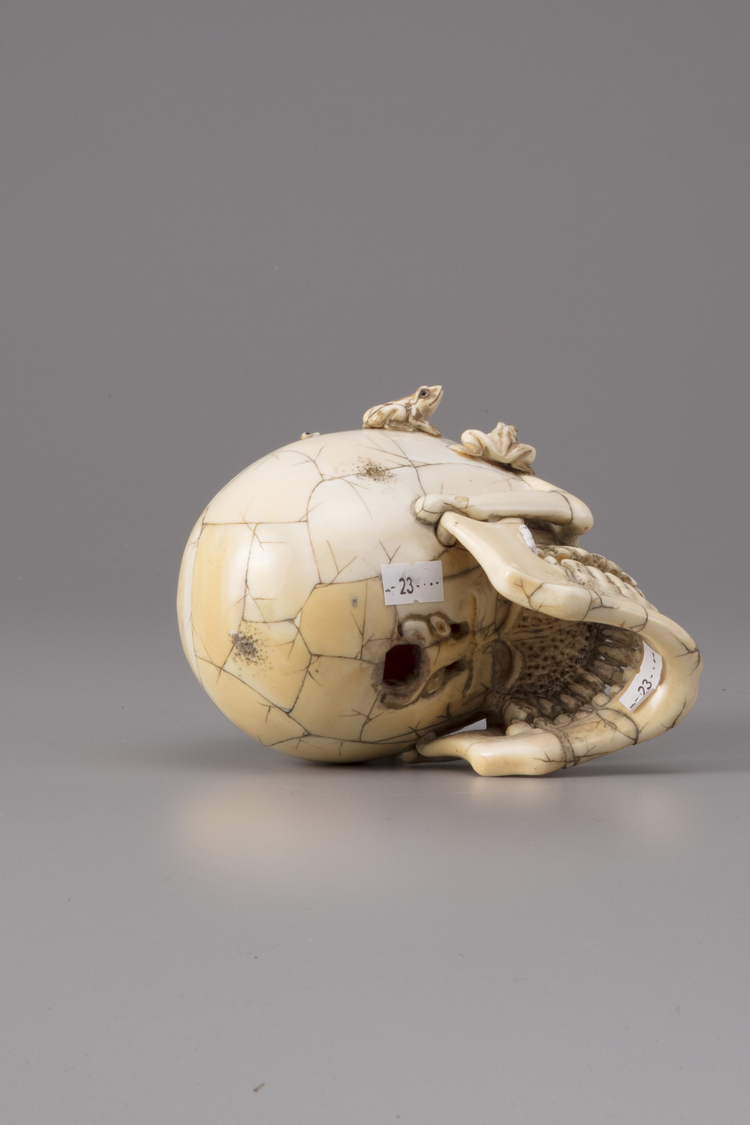 An Ivory Memento Mori Skull