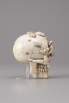 An Ivory memento mori skull