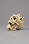 An Ivory memento mori skull