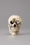 An Ivory memento mori skull