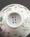 A Chinese famille rose 'butterfly and bitter melon' bowl