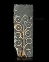 AN EARLY ISLAMIC JEWELRY MOULD IN SOAPSTONE CARVED, 10TH/12TH CENTURY