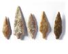 A STONE AGE NEOLITHIC ARROWHEAD COLLECTION, CIRCA 4TH MILLENNIUM B.C.