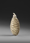 A CHINESE CARVED SNUFF BOTTLE, 19TH CENTURY
