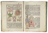 A COLLECTION OF ARTICLES AND LETTERS UNDER THE TITLE "THE MONK'S BOOK".