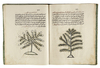 A COLLECTION OF ARTICLES AND LETTERS UNDER THE TITLE "THE MONK'S BOOK".