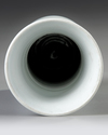 A CHINESE BLUE AND WHITE VASE