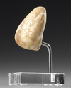 A HEAD OF A MARBLE IDOL, KILIYA TYPE, WESTERN ASIATIC, CIRCA 2700-2400/2300 BC