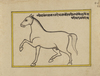 FIFTEEN ILLUSTRATED LEAVES FROM A MANUSCRIPT ON HORSES, INDIA, RAJASTHAN, 19TH CENTURY