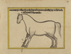 FIFTEEN ILLUSTRATED LEAVES FROM A MANUSCRIPT ON HORSES, INDIA, RAJASTHAN, 19TH CENTURY