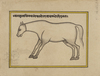 FIFTEEN ILLUSTRATED LEAVES FROM A MANUSCRIPT ON HORSES, INDIA, RAJASTHAN, 19TH CENTURY