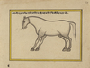 FIFTEEN ILLUSTRATED LEAVES FROM A MANUSCRIPT ON HORSES, INDIA, RAJASTHAN, 19TH CENTURY