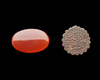 A PERSIAN AGATE AND WOODEN SEAL, QAJAR PERIOD