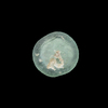 AN EARLY ISLAMIC GLASS WEIGHT OF HALF DIRHAM