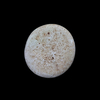 AN ABBASID GLASS WEIGHT OF DOUBLE DIRHAM, BAGHDAD AL-NASIR ( 576-622 AH/ 1080-1225 AD)