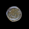 AN EARLY ISLAMIC GLASS WEIGHT OF DIRHAM
