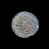 AN EARLY ISLAMIC GLASS WEIGHT OF HALF DIRHAM, 10TH-11TH CENTURY