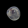 AN EARLY ISLAMIC GLASS WEIGHT OF DIRHAM, 10TH-11TH CENTURY