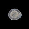 AN EARLY ISLAMIC GLASS WEIGHT OF HALF DIRHAM, 10TH-11TH CENTURY