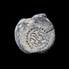 AN EARLY ISLAMIC VESSEL STAMP, 14TH-15TH CENTURY