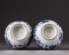 A pair of Chinese blue and white vases