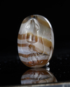 A MINOAN STAMP SEAL WITH A CUTTLEFISH, CIRCA 1500-1300 BC