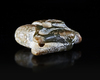 A CHINESE JADE CARVED YU PIG DRAGON PENDANT, 20TH CENTURY