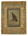 A VULTURE, MUGHAL INDIA, AFTER THE MINIATURE SCHOOL OF MANSUR, CIRCA 1620