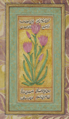 A PAINTING OF A FLOWER WITH A MARBALISED BORDER INDIA, DECCAN, 18TH CENTURY