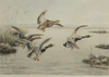 GEORGER FREDERICK ROTIG (1873-1961), DUCKS LANDING, LITHOGRAPH IN COLOURS