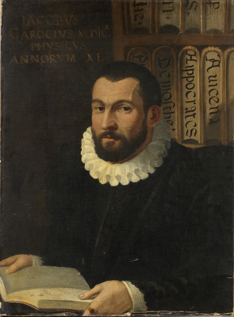 SOUTH NETHERLANDISH SCHOOL, 16TH CENTURY, PORTRAIT OF JACOBUS CAROCIUS, OIL ON CANVAS
