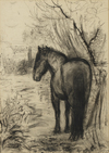 PAUL CITROEN (1896-1983), A HORSE AT REST, CHARCOAL ON PAPER