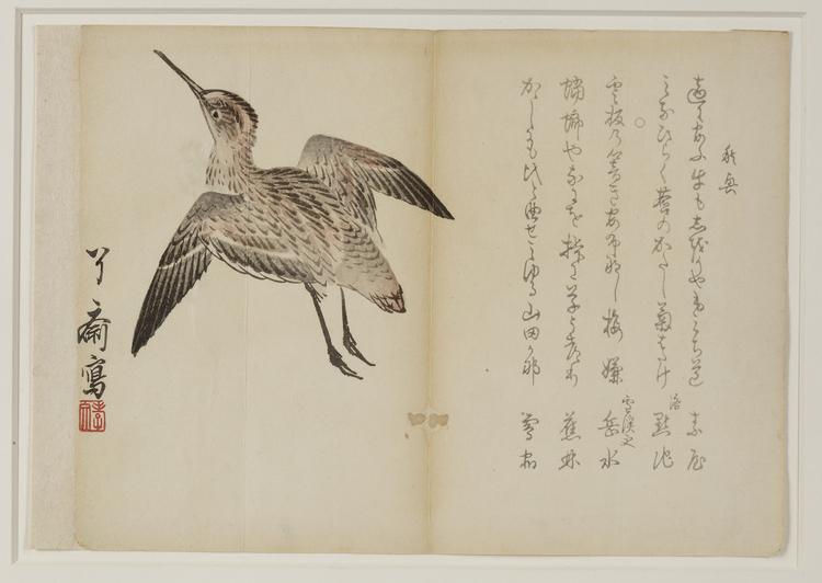 A JAPANESE WOODBLOCK PRINT OF A BIRD IN FLIGHT